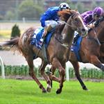 Speedy filly Wild Rain beats the heat to notch city success